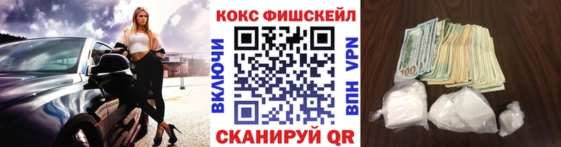 Cocaine FishScale  Купить где  Болотное 