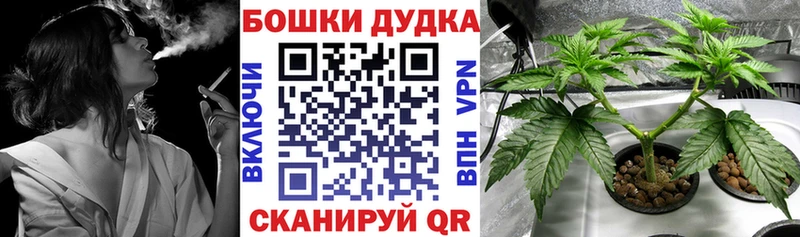 Купить  Болотное  Марихуана THC 21% 